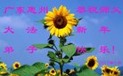 ֹ,㶫󷨵ӹףʦ(28)