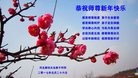 ֹ,ȷ󷨵ӹףʦ(28)