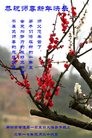 ֹ,ȷ󷨵ӹףʦ(28)