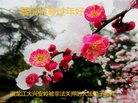Published on 1/24/2017 ���ֹ�,���Ƿ���Ѻ�Ĵ󷨵��ӹ�ףʦ�������(19��)
