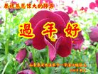 Published on 1/25/2017 ���ֹ�,��½�󷨵��ӹ�ףʦ�������