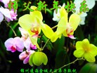 ֹ,ݴ󷨵ӹףʦ(26)