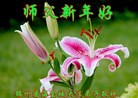 ֹ,ݴ󷨵ӹףʦ(26)