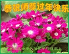 ֹ,ϴ󷨵ӹףʦ(25)