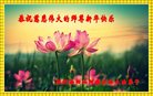 Published on 1/24/2017 ���ֹ�,����ҵ�󷨵��ӹ�ףʦ�������(30��)