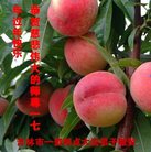 ֹ,д󷨵ӹףʦ(20)