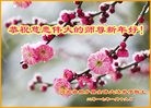 Published on 1/24/2017 ���ֹ�,��÷��ѩ�����š���������ߵлʦ��
