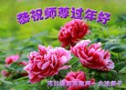 Published on 1/25/2017 ���ֹ�,��½�󷨵��ӹ�ףʦ�������(25��)