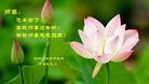 ֹ,֣ݴ󷨵ӹףʦ(25)