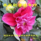 Published on 1/25/2017 ���ֹ�,��½�󷨵��ӹ�ףʦ�������(31��)
