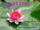 Published on 1/25/2017 ���ֹ�,��½�󷨵��ӹ�ףʦ�������(26��)