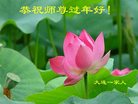 Published on 1/25/2017 ���ֹ�,��½�󷨵��ӹ�ףʦ�������(25��)