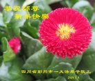 Published on 1/25/2017 ���ֹ�,��½�󷨵��ӹ�ףʦ�������(25��)