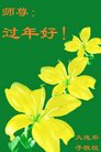 Published on 1/25/2017 ���ֹ�,��½�󷨵��ӹ�ףʦ�������(34��)