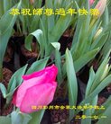 Published on 1/25/2017 ���ֹ�,��½�󷨵��ӹ�ףʦ�������(27��)