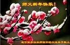 Published on 1/26/2017 ���ֹ�,���д󷨵��ӹ�ףʦ�������(25��)