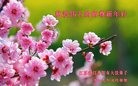 Published on 1/25/2017 ���ֹ�,��½30ʡ�д󷨵�������ʦ����꣡