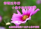 Published on 1/27/2017 ���ֹ�,��ʦ�顡��С���ӹ�ףʦ���������