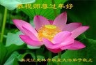 Published on 1/26/2017 ���ֹ�,�й�����ʮ�����ҵ�Ĵ󷨵��ӹ�ףʦ������