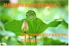 Published on 1/26/2017 ���ֹ�,�й�����ʮ�����ҵ�Ĵ󷨵��ӹ�ףʦ������