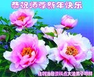 Published on 1/26/2017 ���ֹ�,�й�����ʮ�����ҵ�Ĵ󷨵��ӹ�ףʦ������