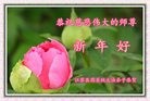 Published on 1/26/2017 ���ֹ�,�й�����ʮ�����ҵ�Ĵ󷨵��ӹ�ףʦ������