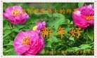 Published on 1/26/2017 ���ֹ�,�й�����ʮ�����ҵ�Ĵ󷨵��ӹ�ףʦ������