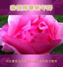 Published on 1/26/2017 ���ֹ�,�й�����ʮ�����ҵ�Ĵ󷨵��ӹ�ףʦ������