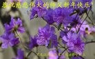 Published on 1/25/2017 ���ֹ�,��½30ʡ�д󷨵�������ʦ����꣡