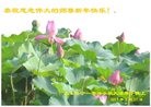 Published on 1/26/2017 ���ֹ�,ԭ������-2017-1-26-341640