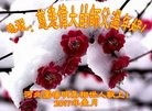 Published on 1/24/2017 ���ֹ�,��½���ո������־��ʦ����ʦ��������� ����������