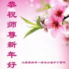 Published on 1/25/2017 ���ֹ�,��½�󷨵��ӹ�ףʦ�������(27��)