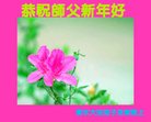 Published on 1/26/2017 ���ֹ�,��½�󷨵��ӹ�ףʦ�������(37��)
