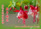 Published on 1/26/2017 ���ֹ�,���������˹�ףʦ�������(25��)