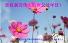 Published on 1/27/2017 ���ֹ�,���󷨵��ӹ�ףʦ�������(24��)
