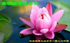 Published on 1/25/2017 ���ֹ�,��½�󷨵��ӹ�ףʦ�������(34��)
