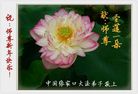 ֹ,żҿڴ󷨵ӹףʦ(24)