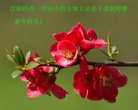 ֹ,󷨵ӹףʦ(24)