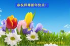 Published on 1/25/2017 ���ֹ�,��½�󷨵��ӹ�ףʦ�������(25��)