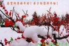 Published on 1/25/2017 ���ֹ�,��½�󷨵��ӹ�ףʦ�������