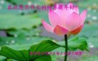 ֹ,󷨵ӹףʦ(25)