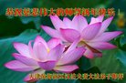 Published on 1/25/2017 ���ֹ�,��½�󷨵��ӹ�ףʦ�������(26��)