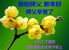 Published on 1/27/2017 ���ֹ�,���󷨵��ӹ�ףʦ�������(24��)