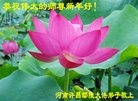 ֹ,ϴ󷨵ӹףʦ(23)