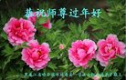 Published on 1/25/2017 ���ֹ�,��½�󷨵��ӹ�ףʦ�������(33��)