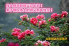 Published on 1/25/2017 ���ֹ�,��½�󷨵��ӹ�ףʦ�������(33��)