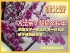 Published on 1/25/2017 ���ֹ�,��½�󷨵��ӹ�ףʦ�������(27��)