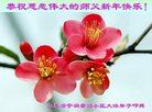 Published on 1/25/2017 ���ֹ�,��½�󷨵��ӹ�ףʦ�������(26��)