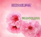 Published on 1/25/2017 ���ֹ�,��½�󷨵��ӹ�ףʦ�������(34��)