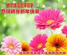 Published on 1/28/2017 ���ֹ�,��½�󷨵��ӹ�ףʦ�������(45��)